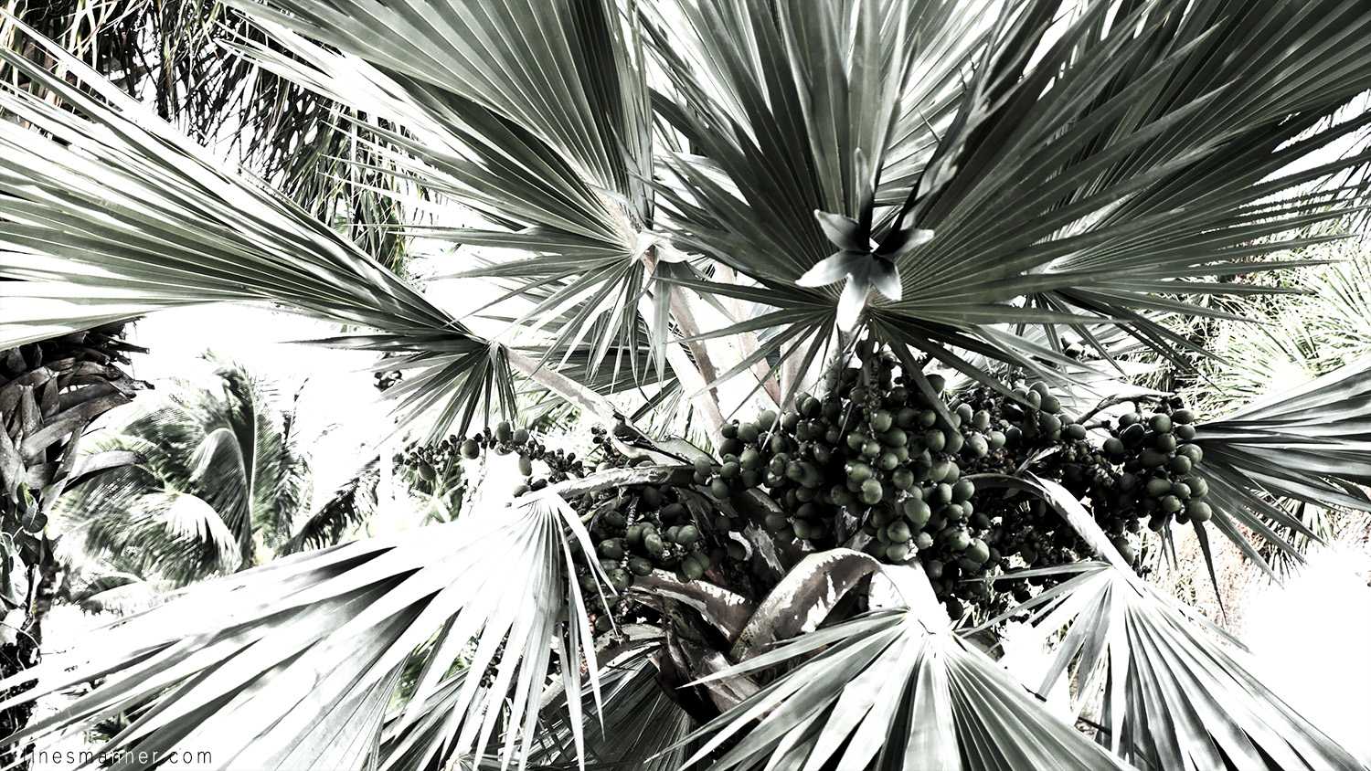 Lines-Manner-Remind-2015-Minimal-Essential-Outfit-Inspiration-Blog-Timeless-Year-Seasons-Details-Travel-Fashion-Versatile-Clean-Sleek-Quality-38