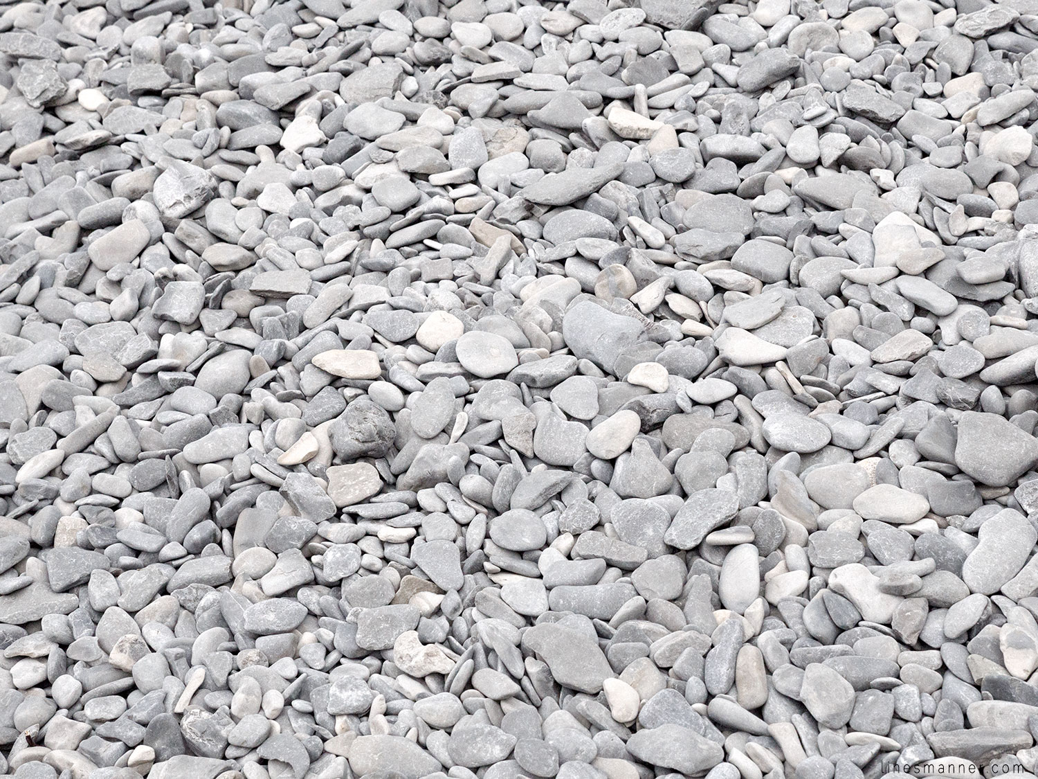 Lines-Manner-Gaspesia-Loop-Road_Trip-Inspiration-Travel-La,dscape-View-Summer-2016-Sea-Escape-7