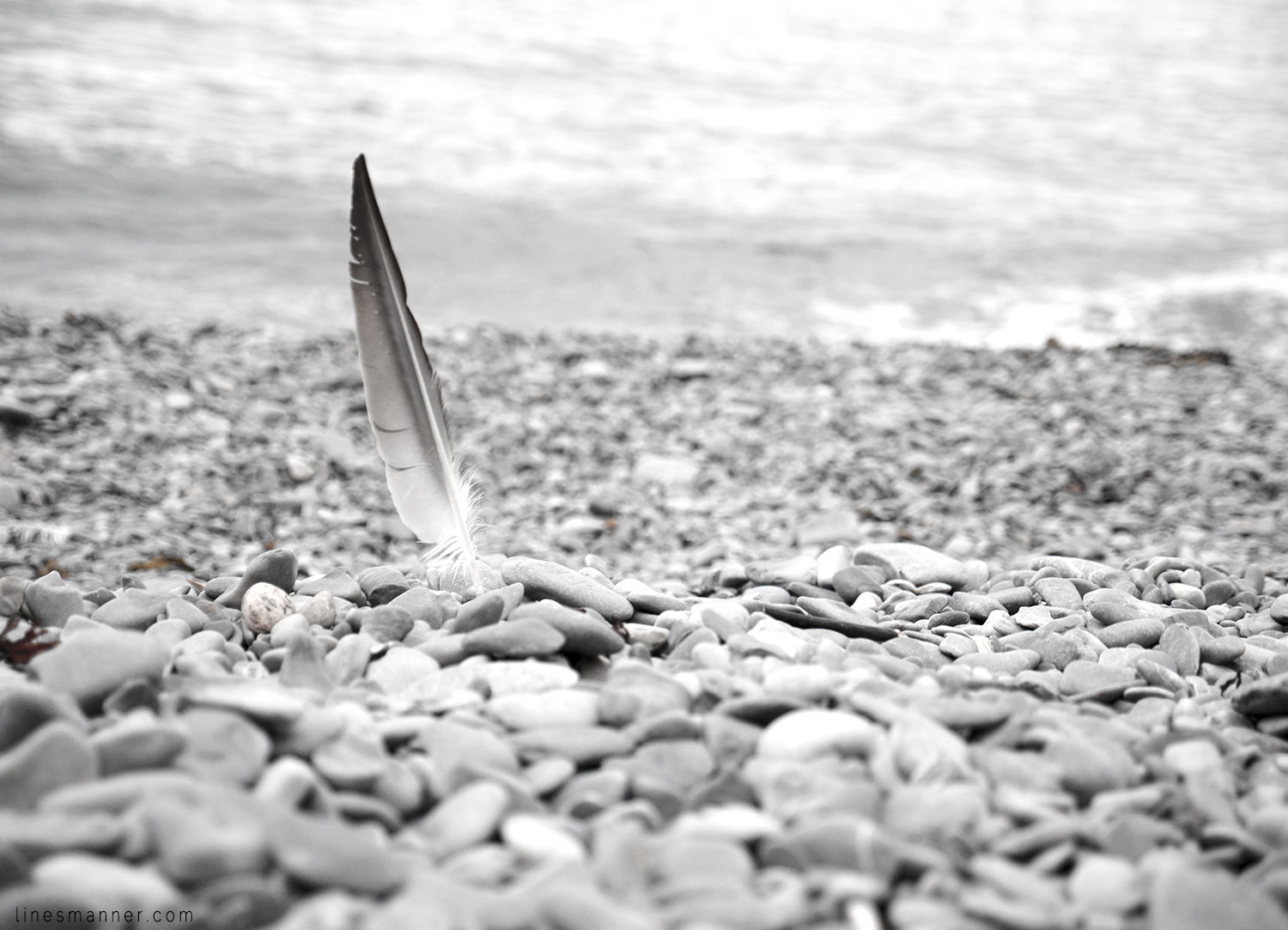 Lines-Manner-Gaspesia-Loop-Road_Trip-Inspiration-Travel-La,dscape-View-Summer-2016-Sea-Escape-20