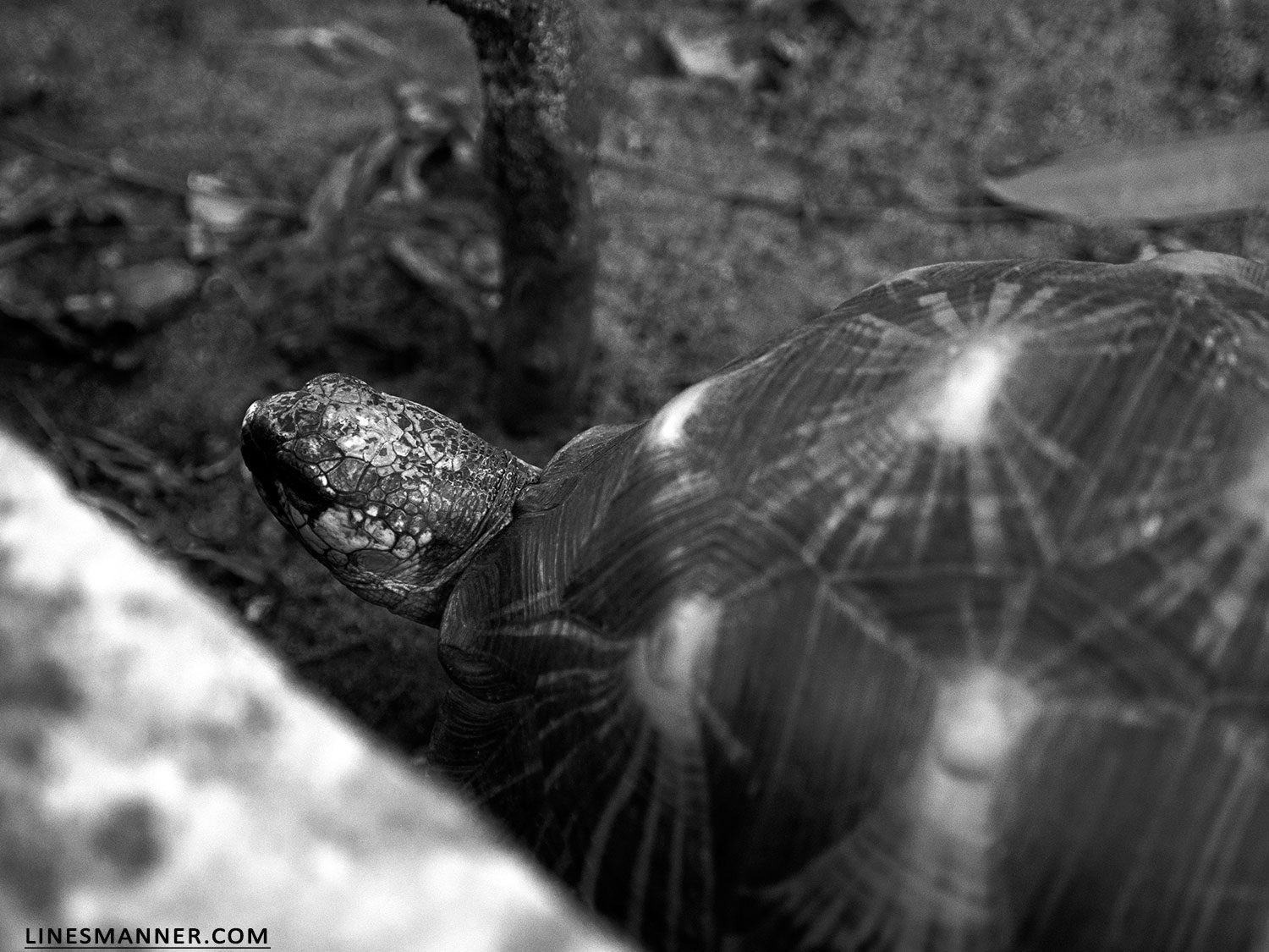 Lines-Manner-Explore-Travel-World-Places-Ocean-Madagascar-Island-Photography-Inspiration-Sea-Tropical-6