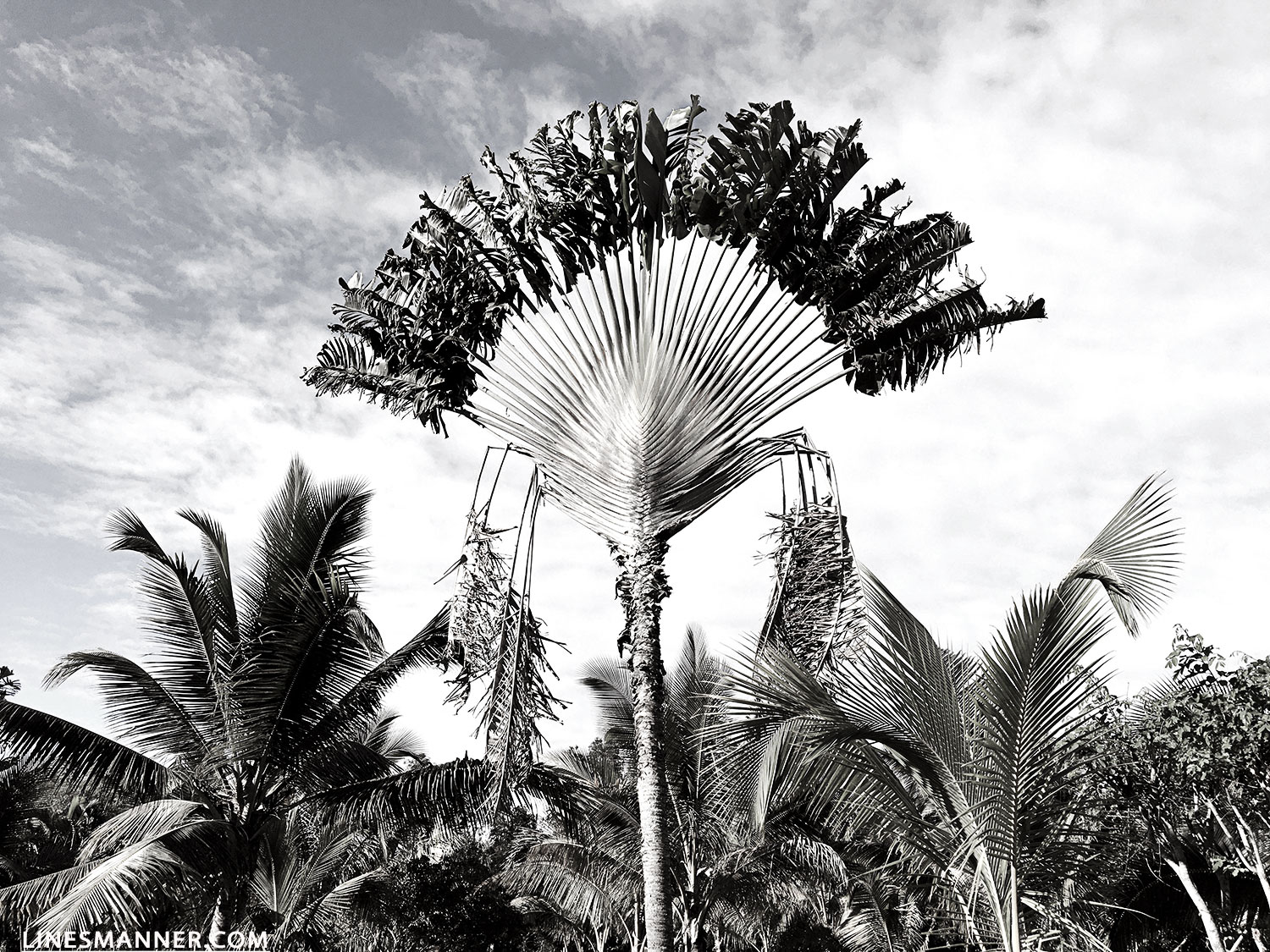 Lines-Manner-Explore-Travel-World-Places-Ocean-Madagascar-Island-Photography-Inspiration-Sea-Tropical-1
