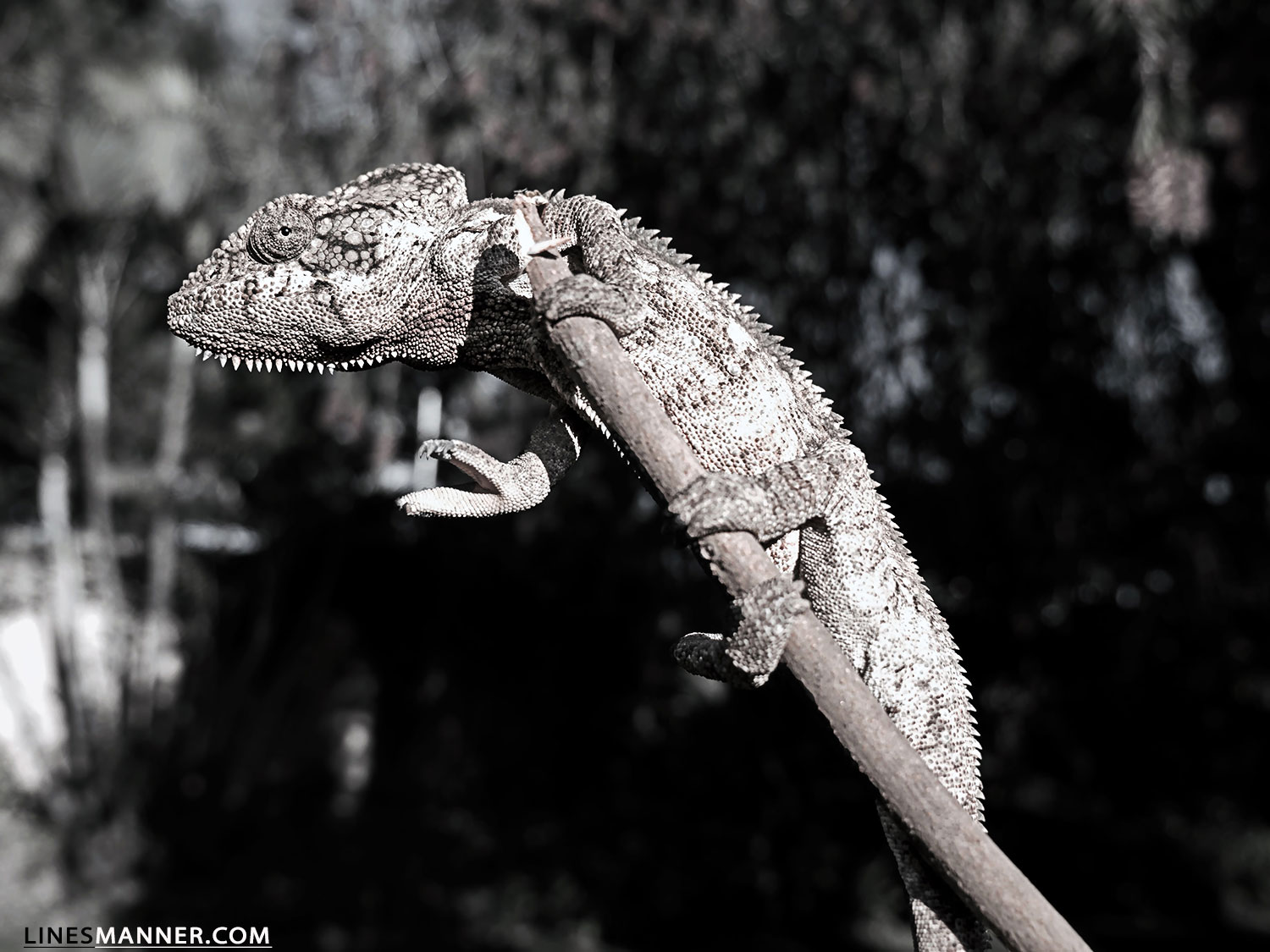 Lines-Manner-Explore-Travel-World-Places-Ocean-Madagascar-Island-Photography-Inspiration-Sea-Tropical-10