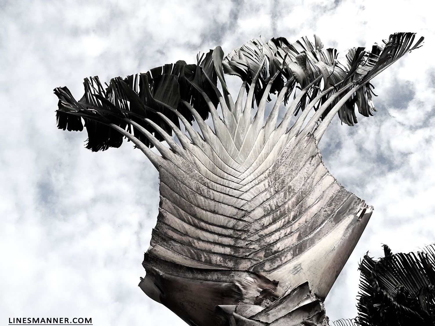 Lines-Manner-Explore-Travel-World-Places-Ocean-Madagascar-Island-Photography-Inspiration-Sea-Tropical-9