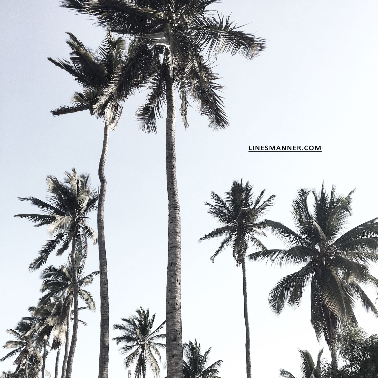 Lines-Manner-Travel-Madagascar-World_Places-Ocean-Landscape-Desert-Photography-Road_Trip-Sea-Sunset-White-19