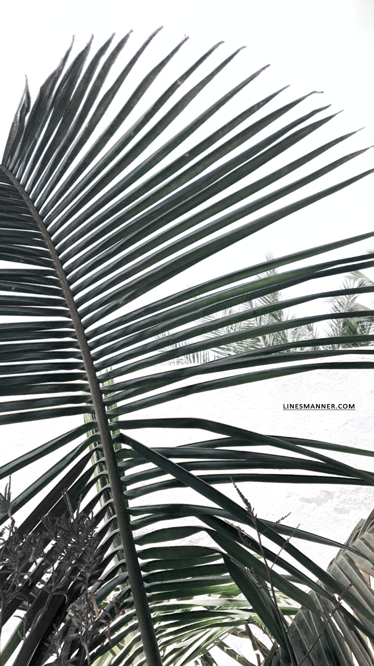 Lines-Manner-Travel-Madagascar-World_Places-Ocean-Landscape-Desert-Photography-Road_Trip-Sea-Sunset-White-23