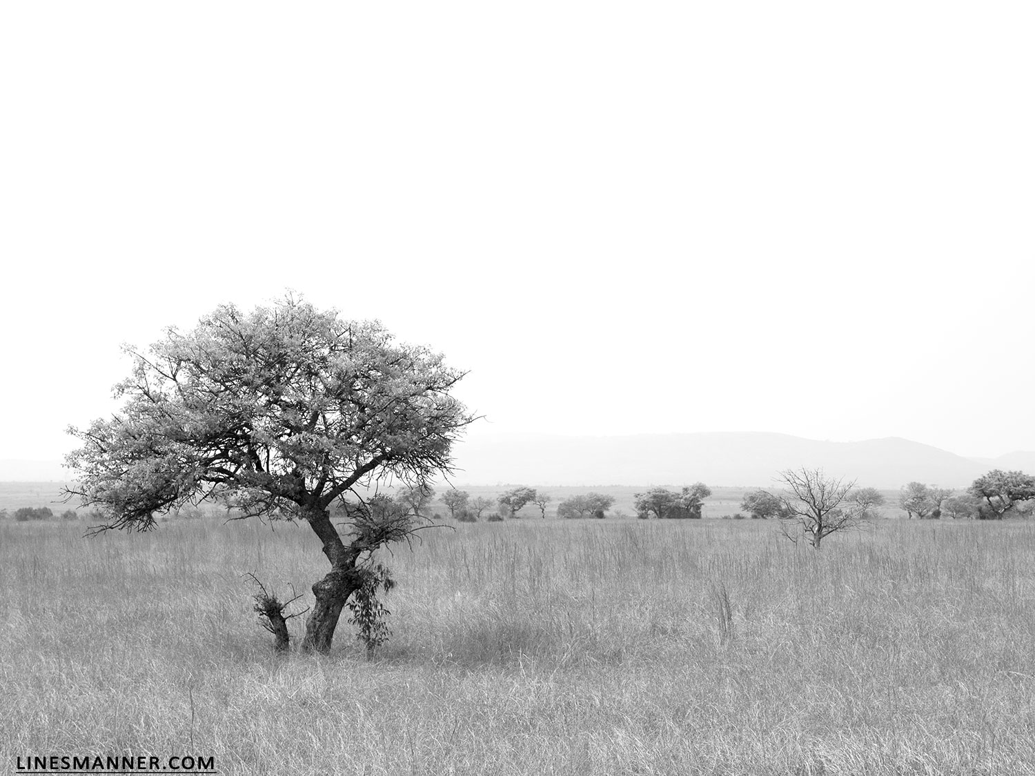 Lines-Manner-Travel-Madagascar-World_Places-Ocean-Landscape-Desert-Photography-Road_Trip-Sea-Sunset-White-26