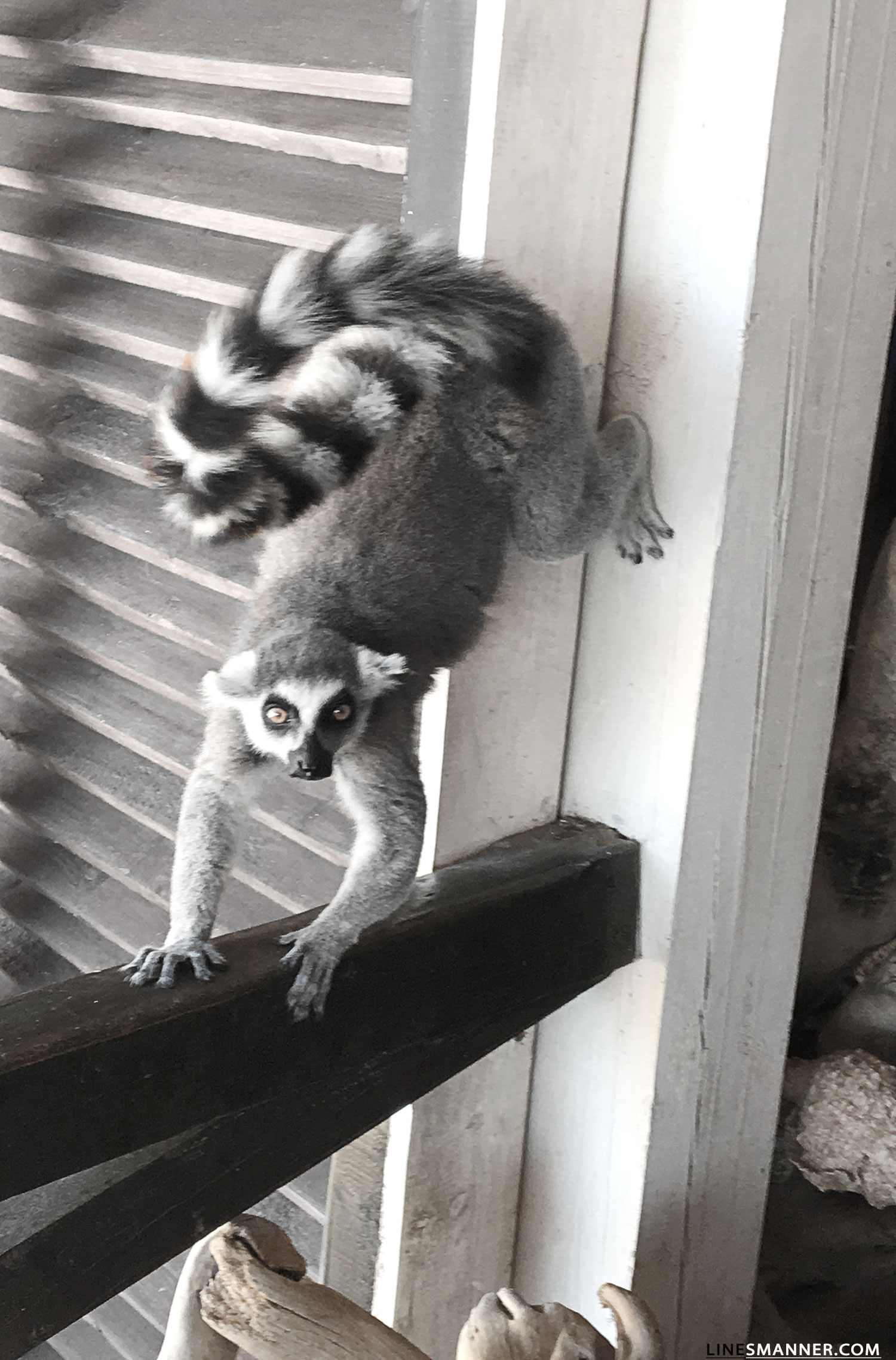 Lines-Manner-Travel-Madagascar-World_Places-Ocean-Landscape-Desert-Photography-Road_Trip-Sea-Sunset-White-6