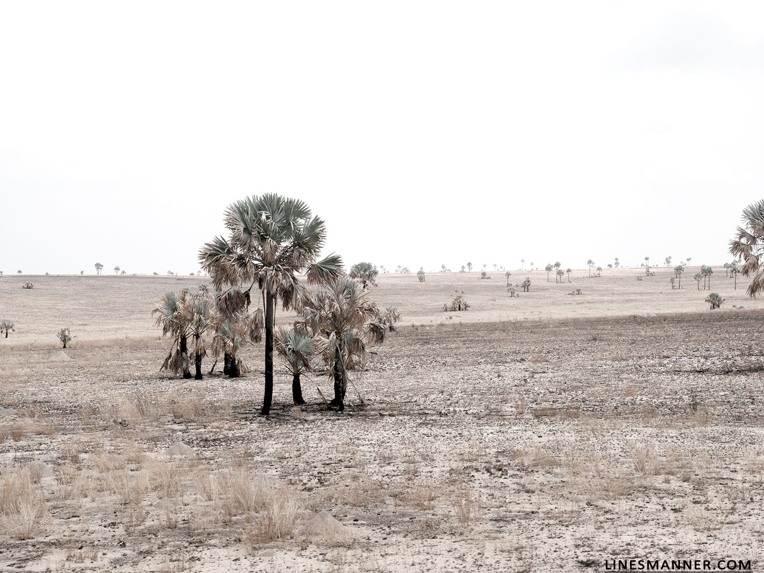 Lines-Manner-Travel-Madagascar-World_Places-Ocean-Landscape-Desert-Photography-Road_Trip-Sea-Sunset-White-7