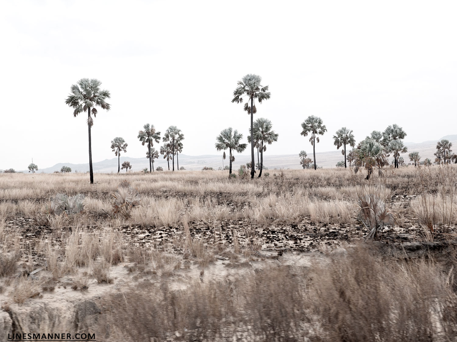 Lines-Manner-Travel-Madagascar-World_Places-Ocean-Landscape-Desert-Photography-Road_Trip-Sea-Sunset-White-8
